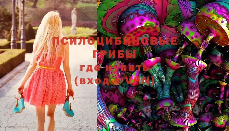 Псилоцибиновые грибы Magic Shrooms  Еманжелинск 