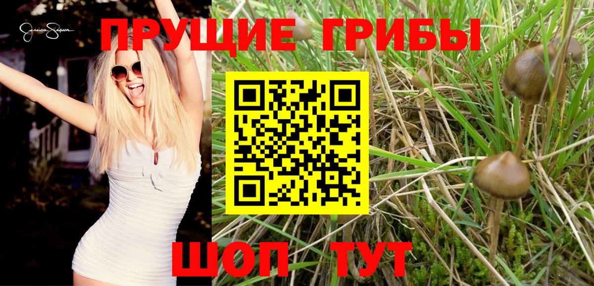 КОКАИН  Вход с VPN  Гашиш  Бошки Шишки  Еманжелинск  Alpha PVP СОЛЬ   Меф МЯУ МЯУ кристаллы  Гашиш  Cocaine  Купить наркотик  Лсд 25  МЕТАМФЕТАМИН  NBOMe 