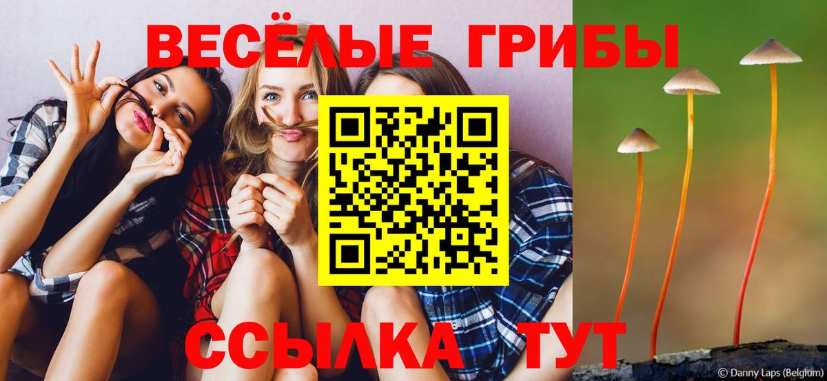 Псилоцибиновые грибы ЛСД Еманжелинск