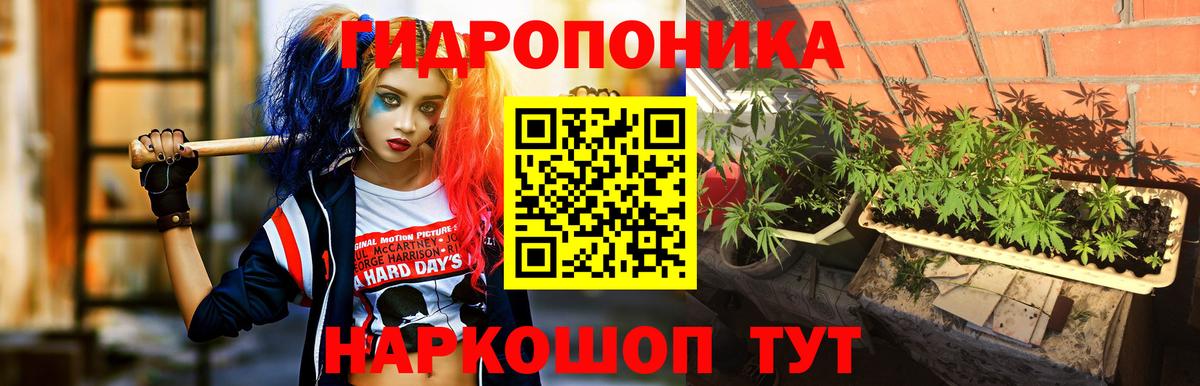Бошки марихуана ГИДРОПОН  Канабис сатива  Вход с VPN  Еманжелинск  Бошки марихуана план 